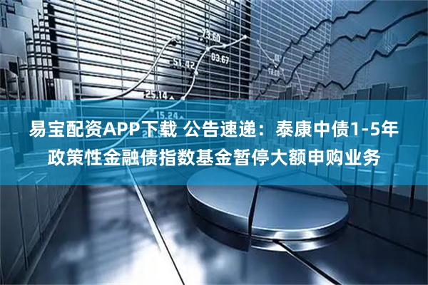 易宝配资APP下载 公告速递：泰康中债1-5年政策性金融债指数基金暂停大额申购业务